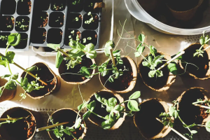 Raised Bed Installation & Building Tips