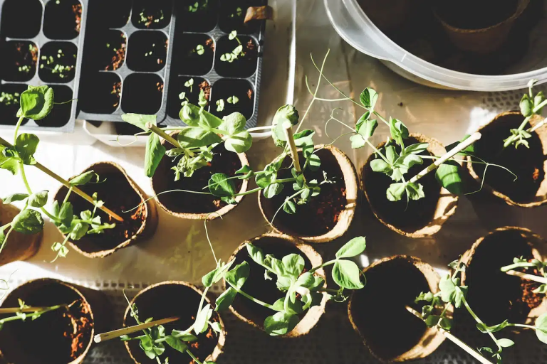 Raised Bed Installation & Building Tips