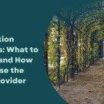 Garden Installation Services: What to Expect and How to Choose the Right Provider