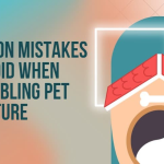 Common Mistakes to Avoid When Assembling Pet Furniture
