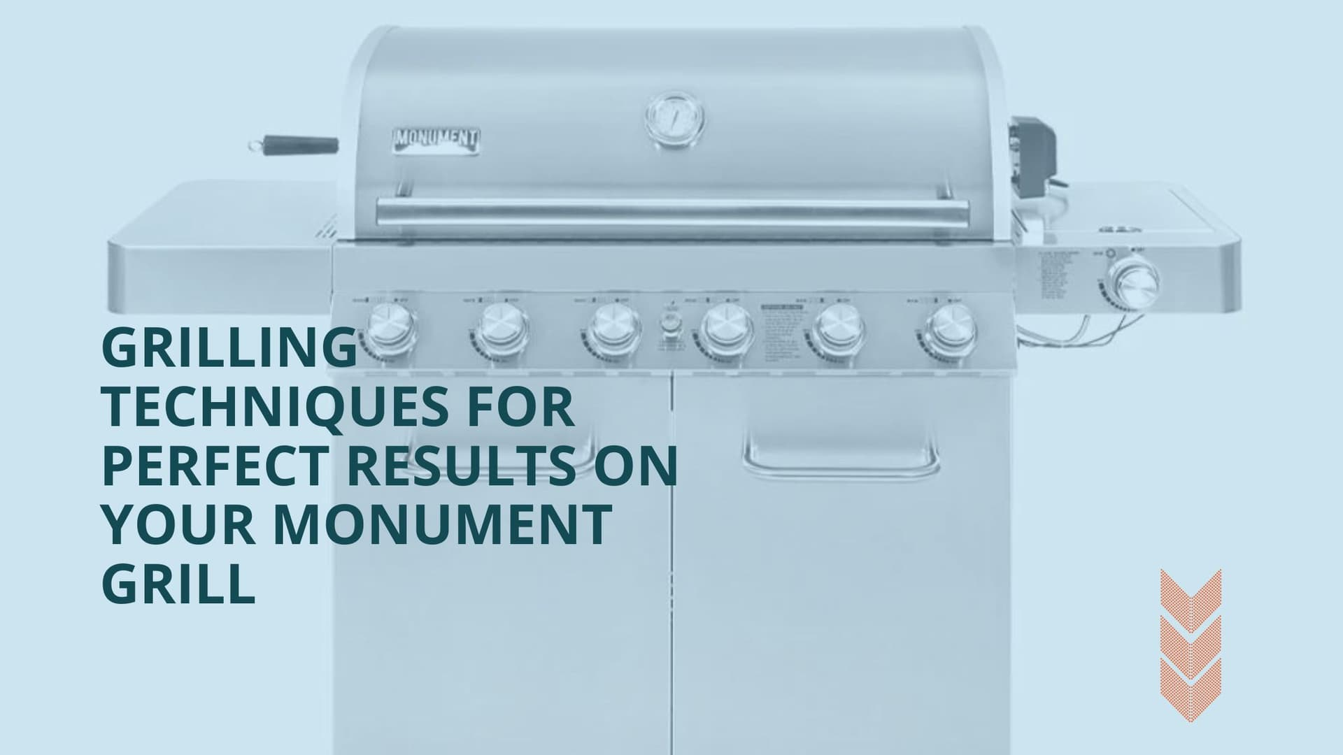 Grilling Techniques That Will Ensure You Get the Best Grilled Meal On Your Monument Grill