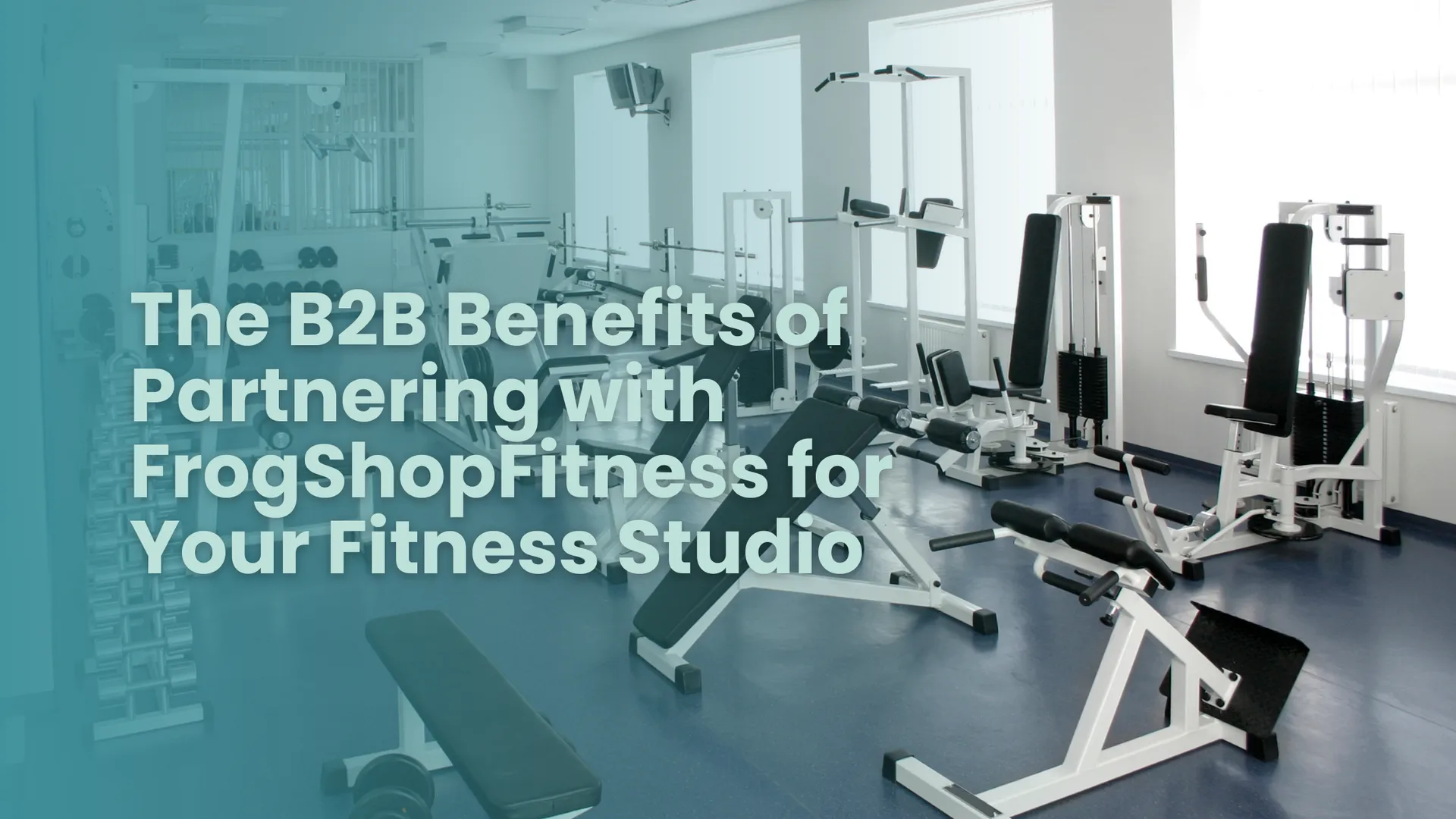The B2B Benefits of Partnering with FrogShopFitness for Your Fitness Studio