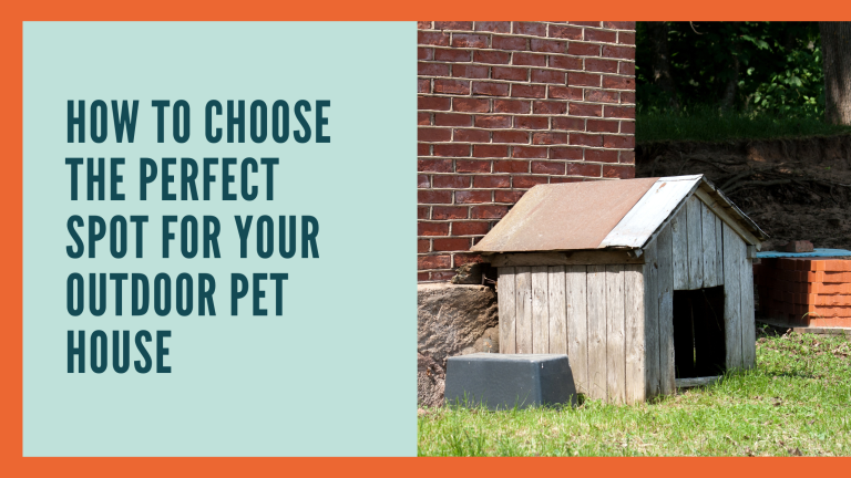 How to Choose the Perfect Spot for Your Outdoor Pet House