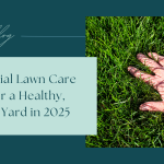 Essential Lawn Care Tips for a Healthy, Green Yard in 2025