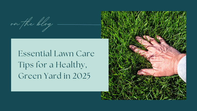 Essential Lawn Care Tips for a Healthy, Green Yard in 2025
