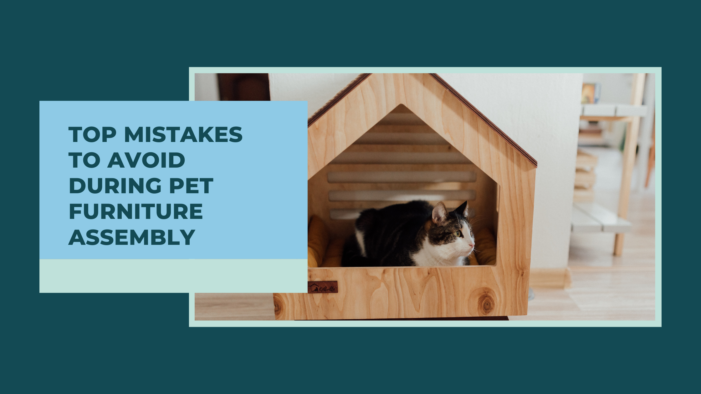 How to Install a Pet Door That Is Secure, Energy Efficient, and Built to Last