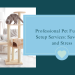 Professional Pet Furniture Setup Services: Save Time and Stress