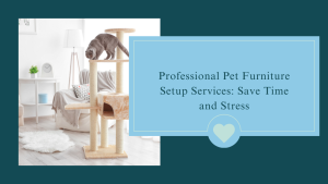 Professional Pet Furniture Setup Services: Save Time and Stress