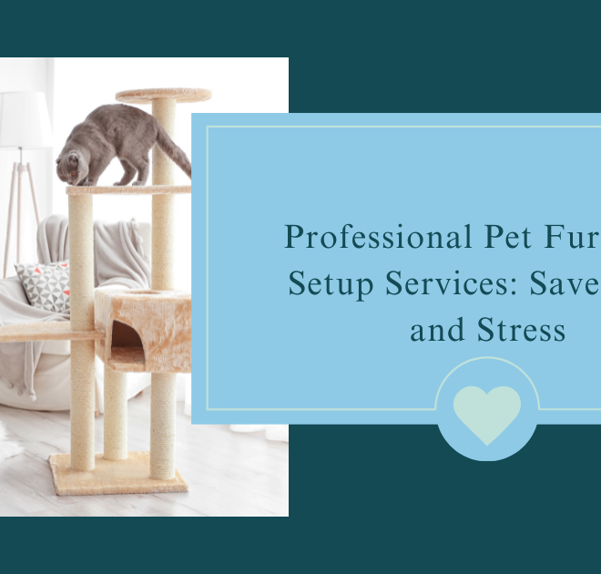 Professional Pet Furniture Setup Services: Save Time and Stress