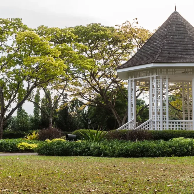 What Is a Gazebo and Why Is It So Popular for Backyards?