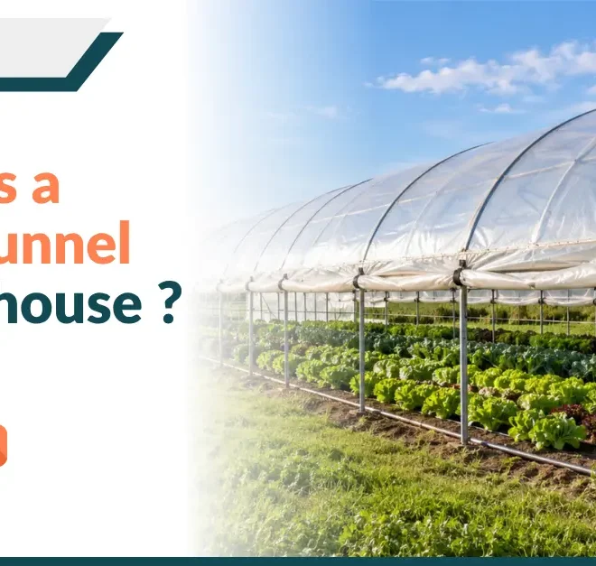 What Is a High Tunnel Greenhouse? A Complete Guide for Homeowners and Growers