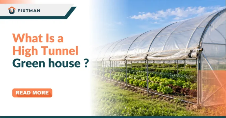 What Is a High Tunnel Greenhouse? A Complete Guide for Homeowners and Growers